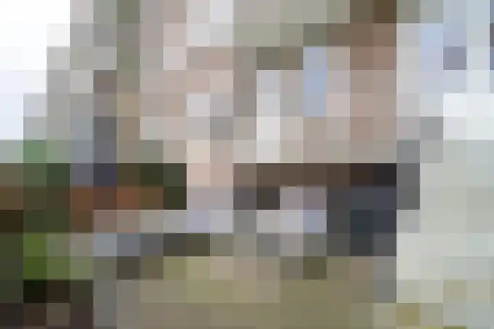 Graaf Hendrik III laan 67 Breda thumbnail 4