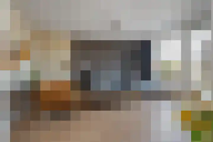 Graaf Hendrik III laan 71 B Breda thumbnail 10
