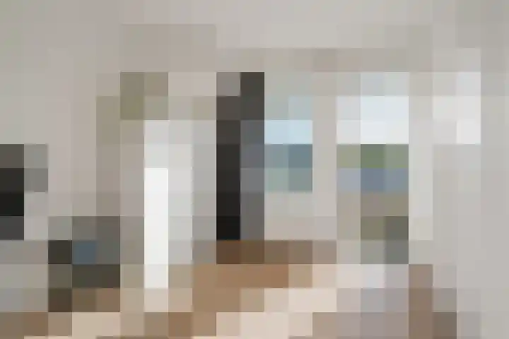 Graaf Hendrik III laan 71 B Breda thumbnail 20