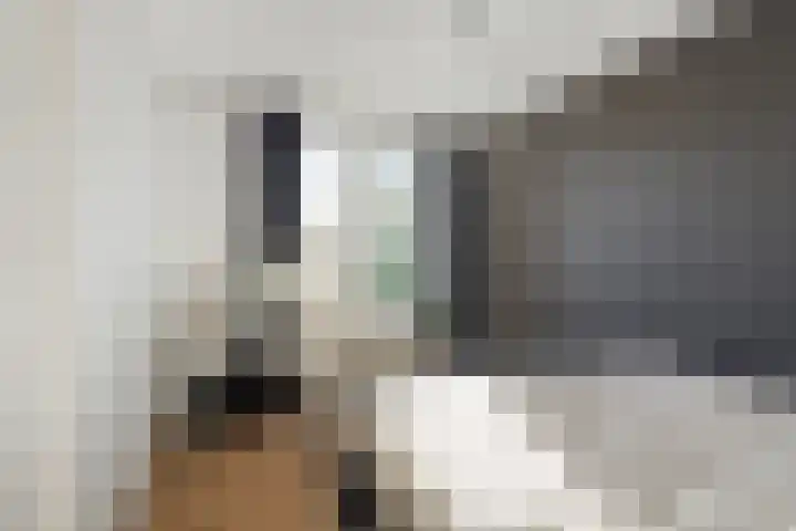 Graaf Hendrik III laan 71 B Breda thumbnail 22
