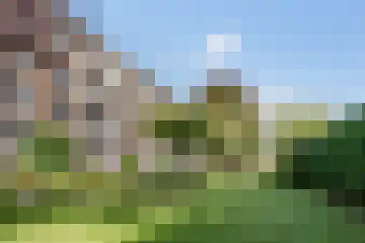 Graaf Hendrik III laan 71 B Breda thumbnail 26