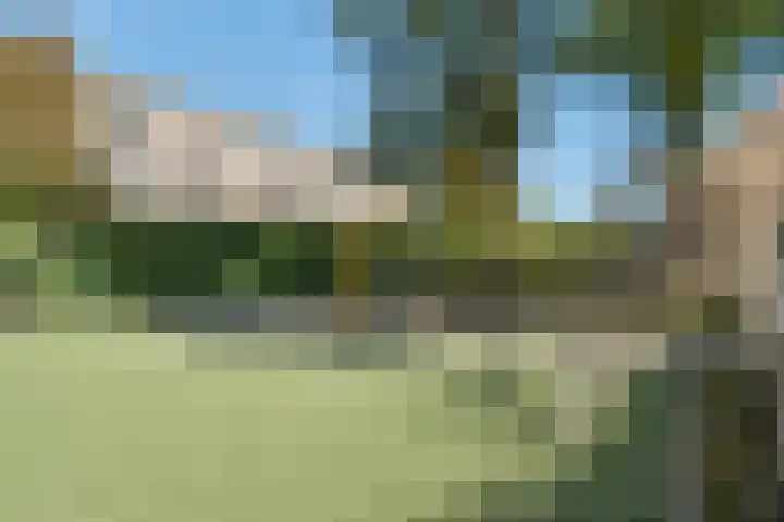 Graaf Hendrik III laan 71 B Breda thumbnail 27