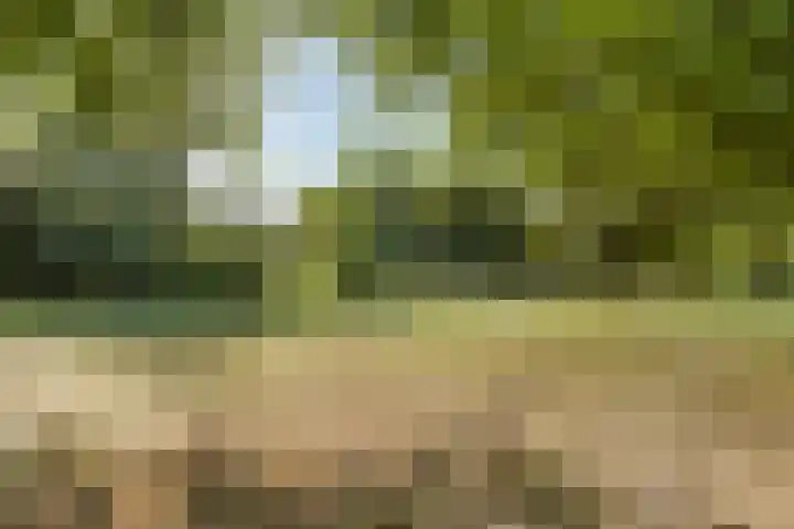 Graaf Hendrik III laan 71 B Breda thumbnail 32