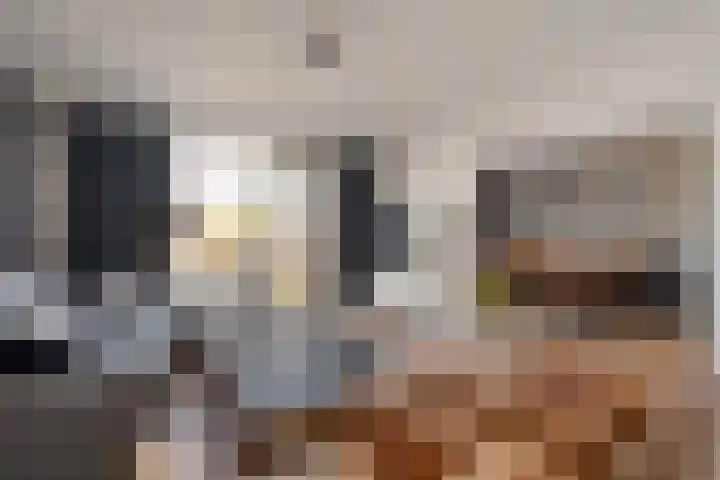 Graaf Hendrik III laan 71 B Breda thumbnail 9