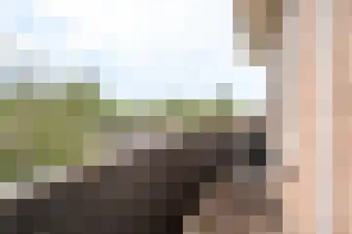 Graaf Hendrik III laan 79 C Breda thumbnail 11