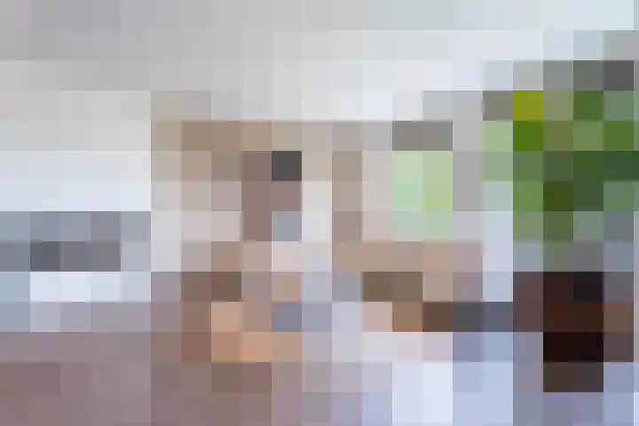 Graaf Hendrik III laan 79 C Breda thumbnail 5
