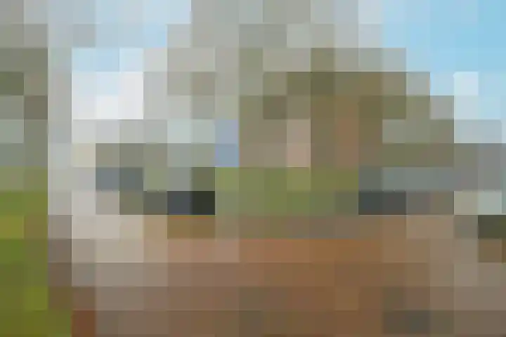 Graaf Hendrik III plein 104 Breda thumbnail 11