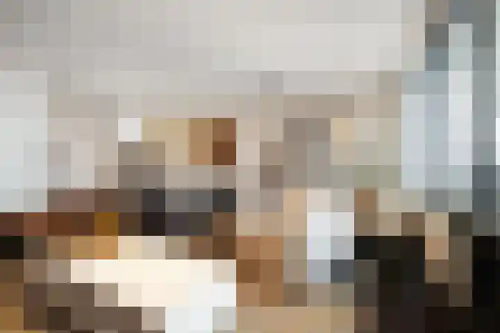 Graaf Hendrik III plein 104 Breda thumbnail 19