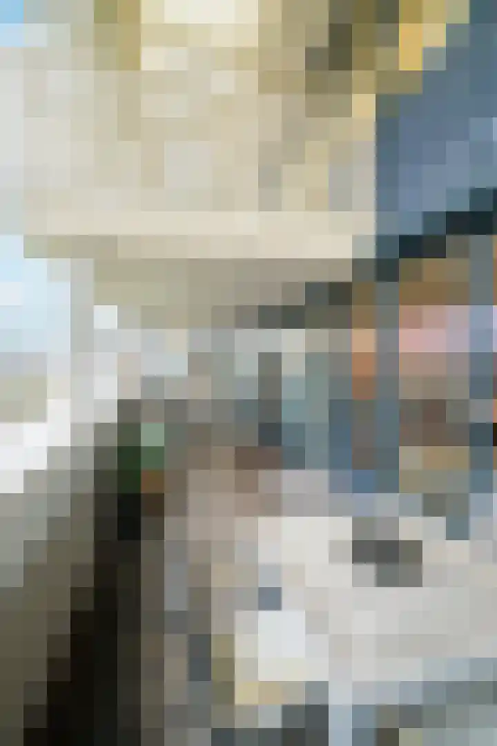 Graaf Hendrik III plein 104 Breda thumbnail 22