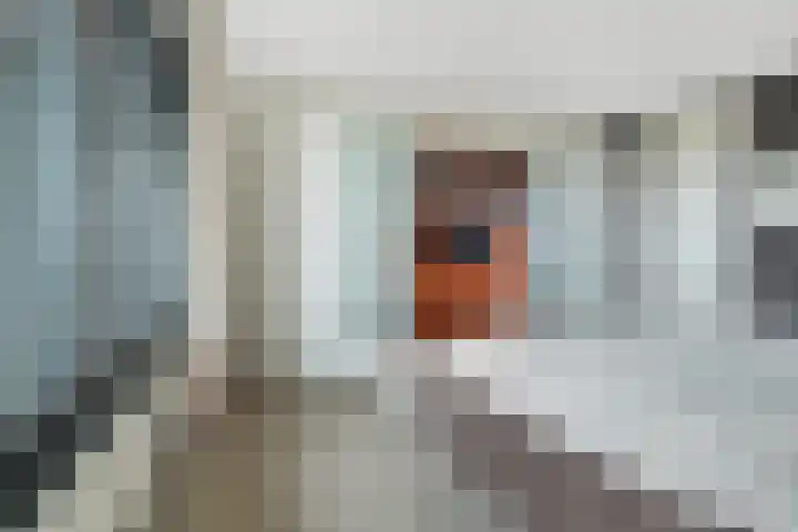 Graaf Hendrik III plein 104 Breda thumbnail 27