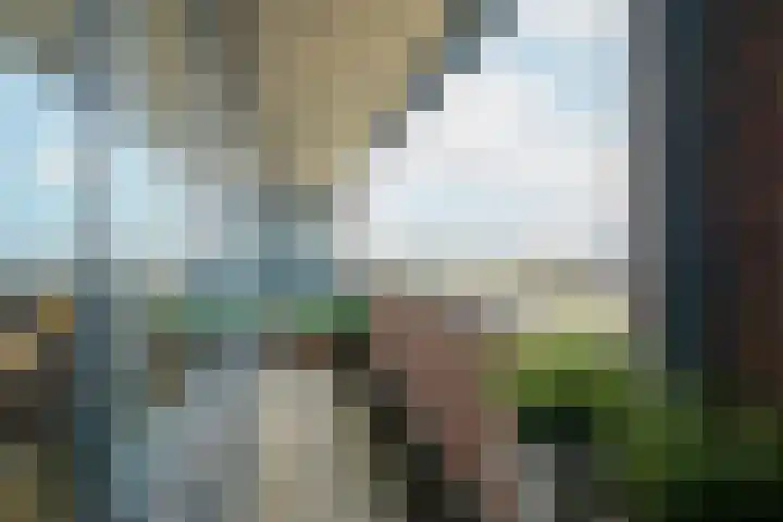 Graaf Hendrik III plein 104 Breda thumbnail 28