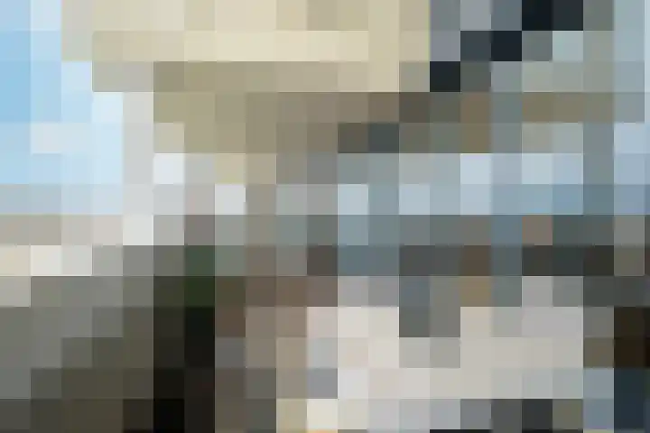 Graaf Hendrik III plein 104 Breda thumbnail 29