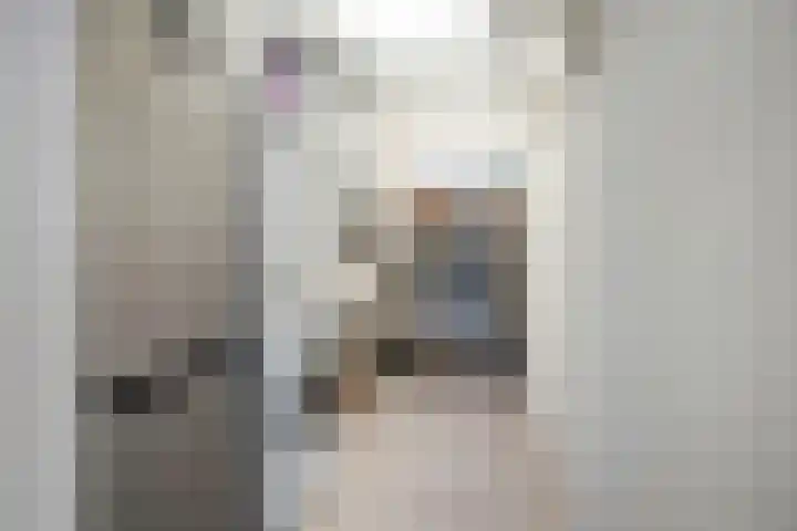Graaf Hendrik III plein 104 Breda thumbnail 35