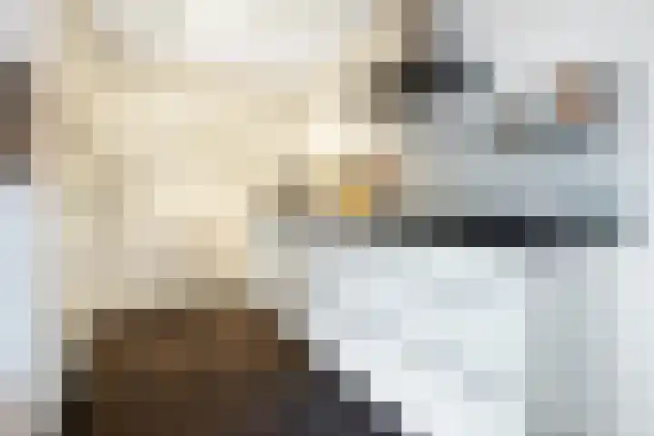 Graaf Hendrik III plein 104 Breda thumbnail 5