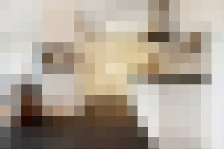 Graaf Hendrik III plein 104 Breda thumbnail 6