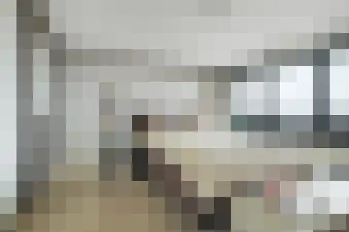Graaf Hendrik III plein 104 Breda thumbnail 7