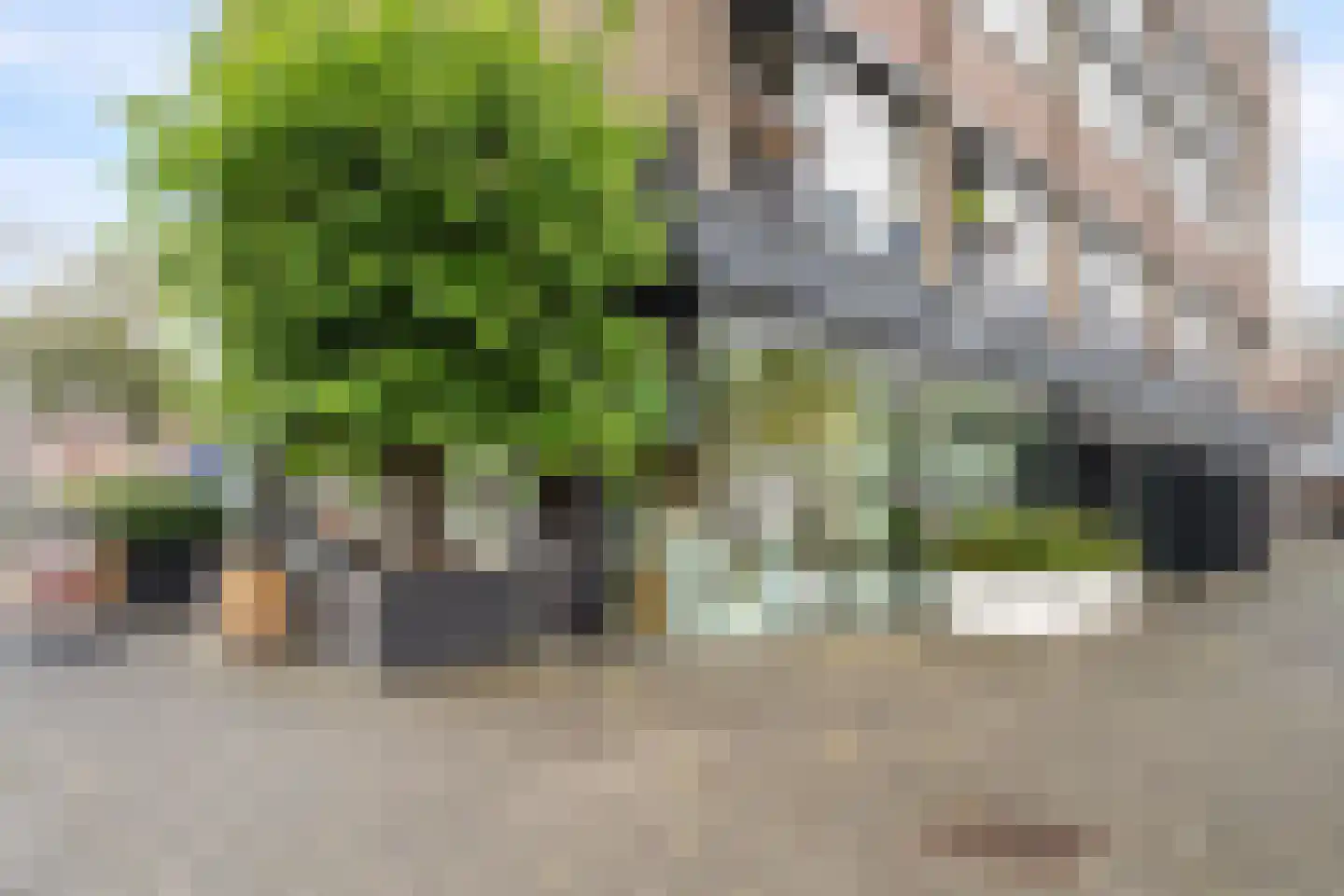 Graaf Hendrik III plein 17 A Breda thumbnail 34