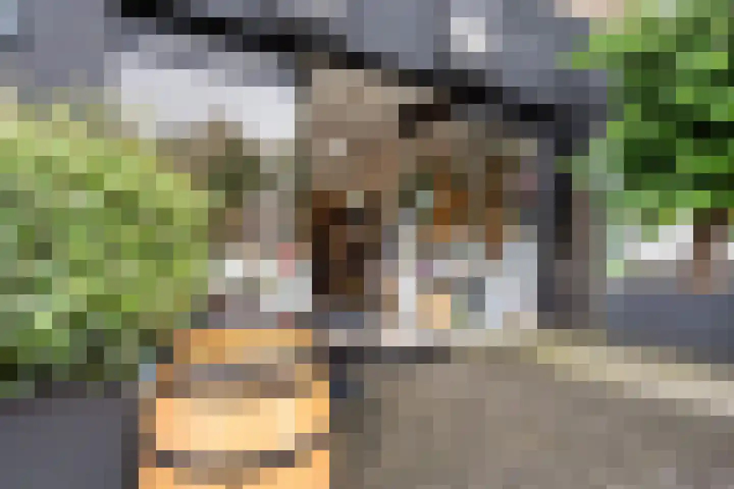 Graaf Hendrik III plein 17 A Breda thumbnail 35