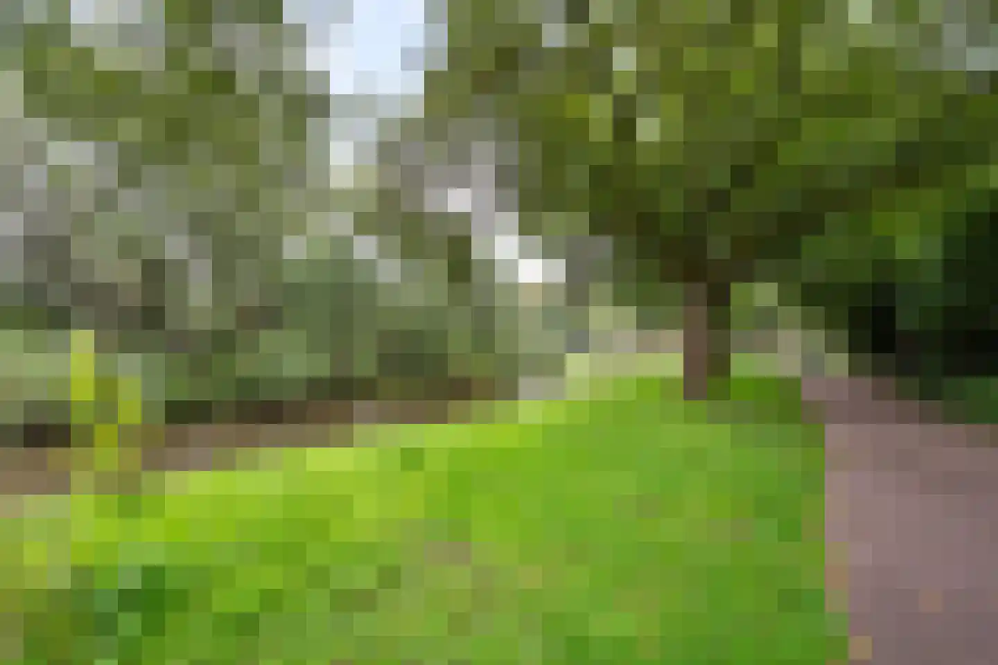 Graaf Hendrik III plein 17 A Breda thumbnail 37