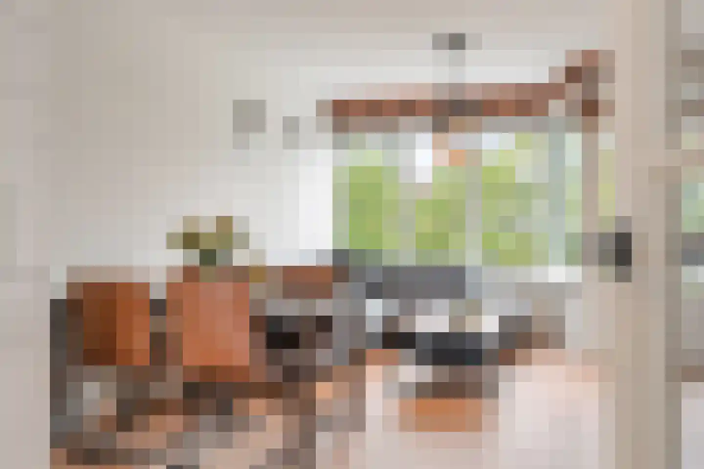 Graaf Hendrik III plein 17 A Breda thumbnail 9