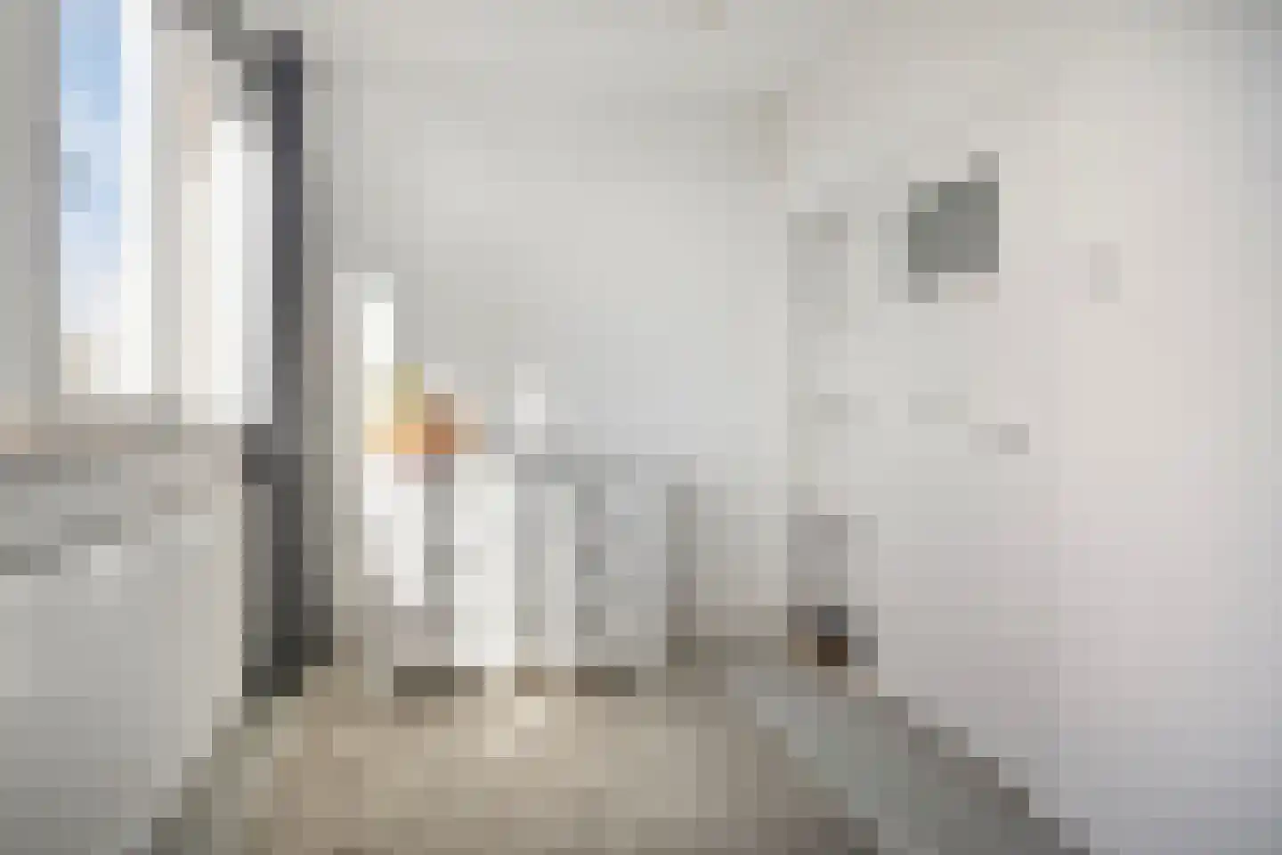 Graaf Hendrik III plein 25 B Breda thumbnail 34