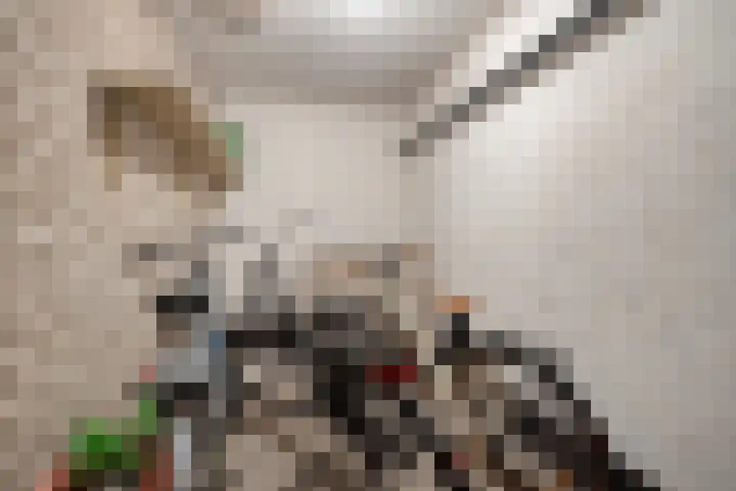 Graaf Hendrik III plein 25 B Breda thumbnail 43