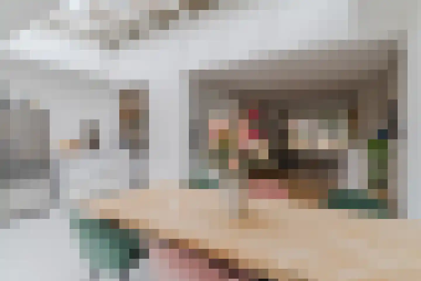 Graaf Hendrik III plein 48 Breda thumbnail 35