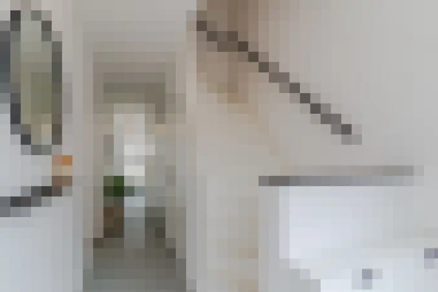 Graaf Hendrik III plein 48 Breda thumbnail 6
