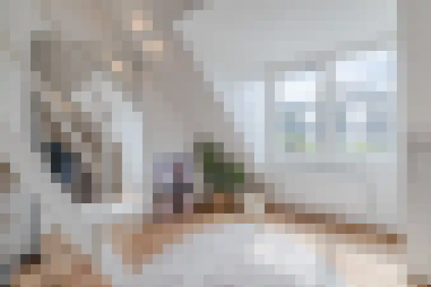 Graaf Hendrik III plein 48 Breda thumbnail 67