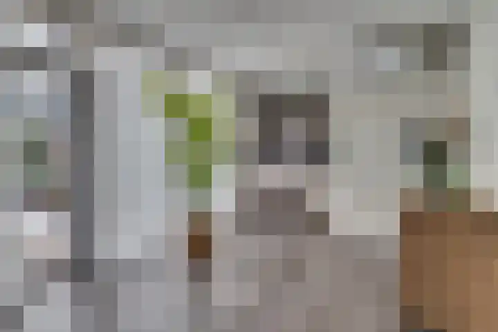 Graaf Hendrik van den Bergstraat 11 Venlo thumbnail 10