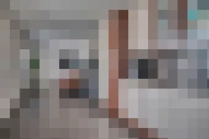 Graaf Hendrik van den Bergstraat 11 Venlo thumbnail 12