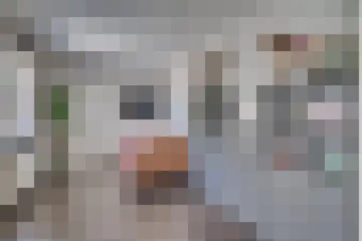 Graaf Hendrik van den Bergstraat 11 Venlo thumbnail 13