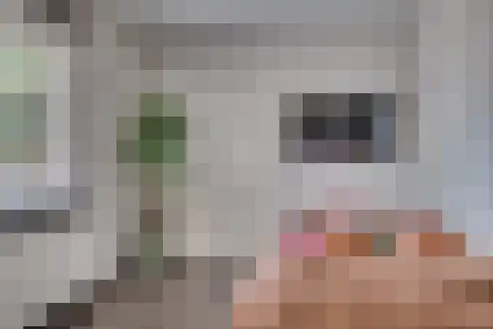 Graaf Hendrik van den Bergstraat 11 Venlo thumbnail 14