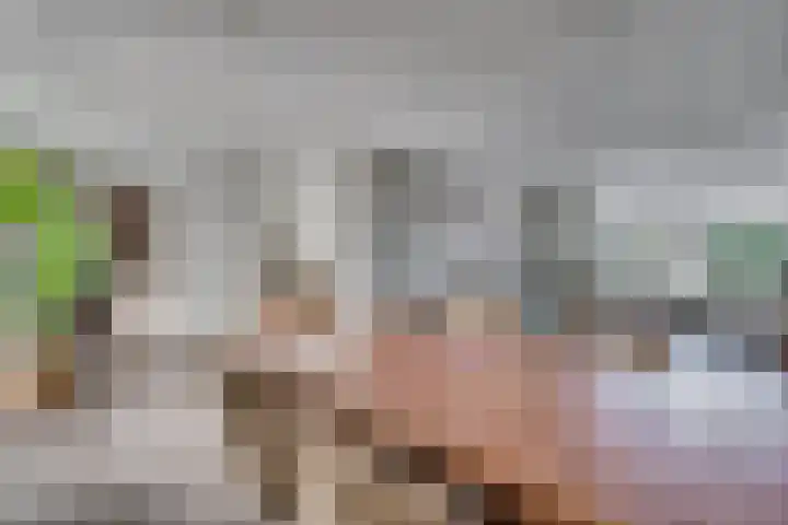Graaf Hendrik van den Bergstraat 11 Venlo thumbnail 21