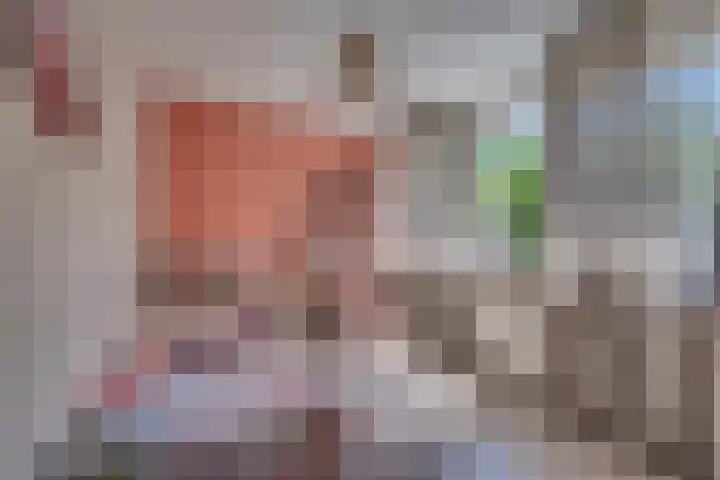 Graaf Hendrik van den Bergstraat 11 Venlo thumbnail 34