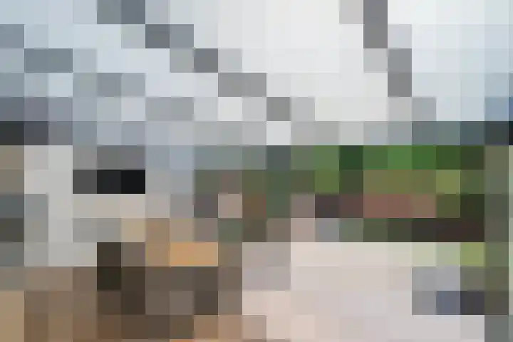 Graaf Hendrik van den Bergstraat 11 Venlo thumbnail 50