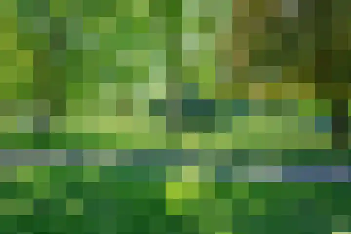 Graaf Hendrik van den Bergstraat 11 Venlo thumbnail 64