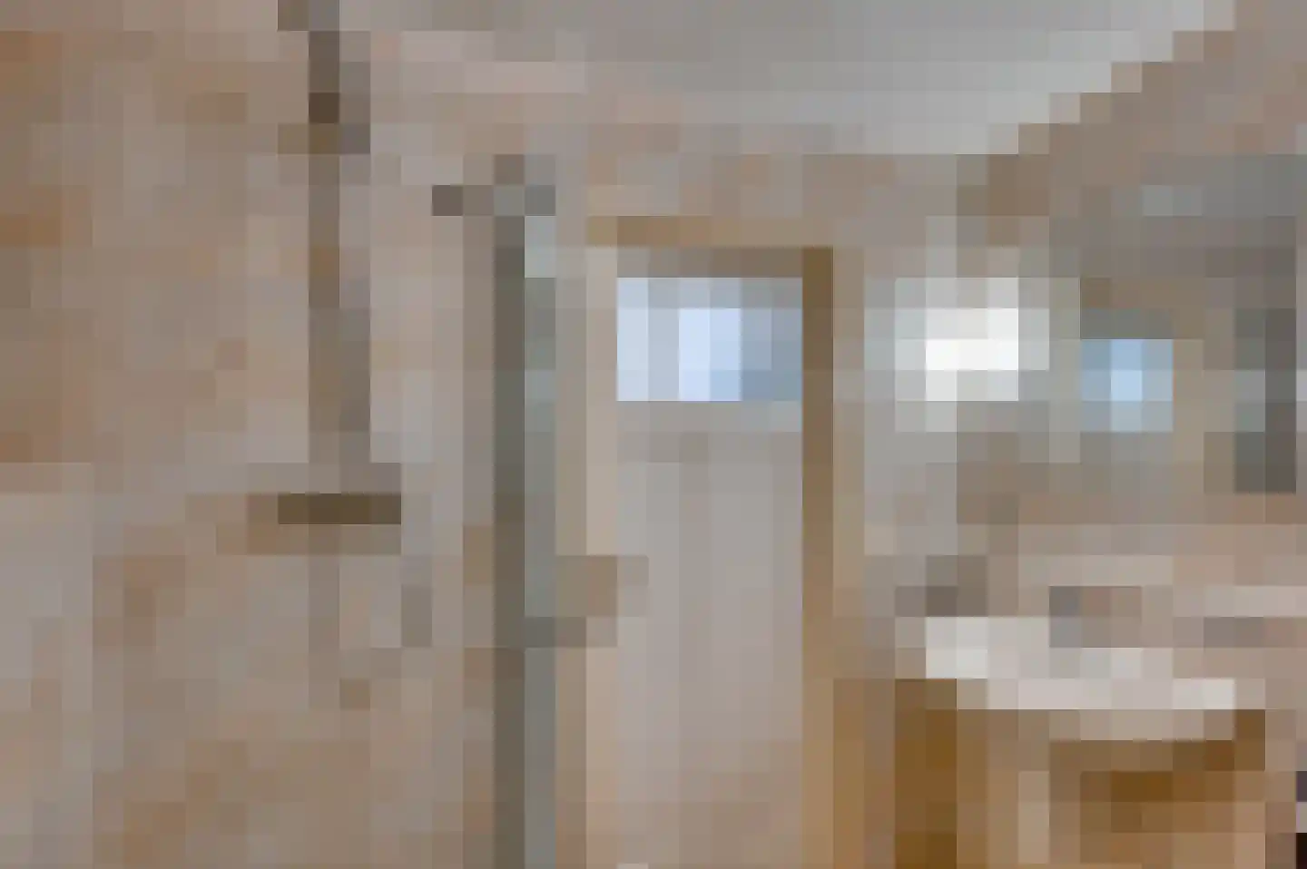 Graaf Hendrik van den Bergstraat 23 Venlo thumbnail 17