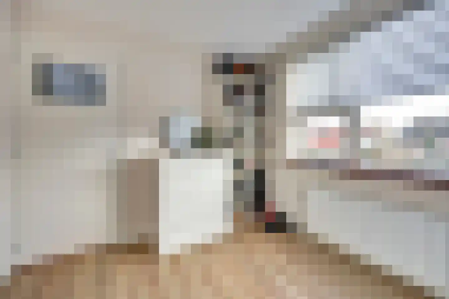 Graaf Hendrik van Nassaustraat 44 Ouderkerk aan den IJssel thumbnail 22