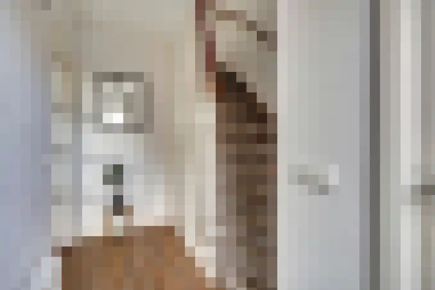 Graaf Hendrik van Nassaustraat 44 Ouderkerk aan den IJssel thumbnail 5
