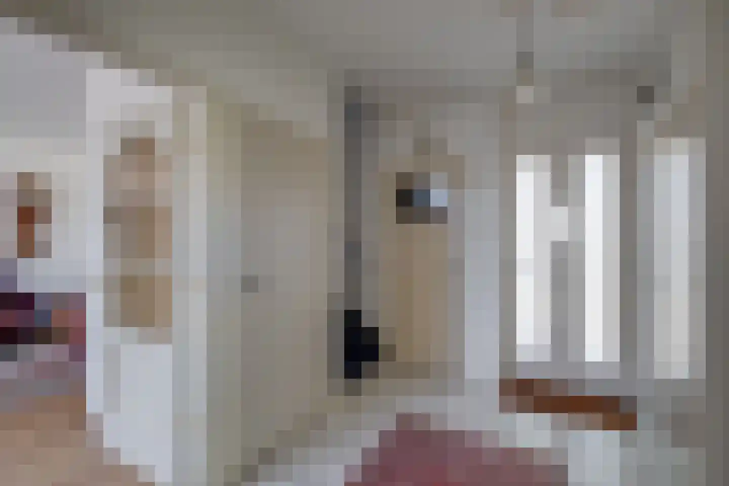 Graaf Hendriklaan 1 Lochem thumbnail 22