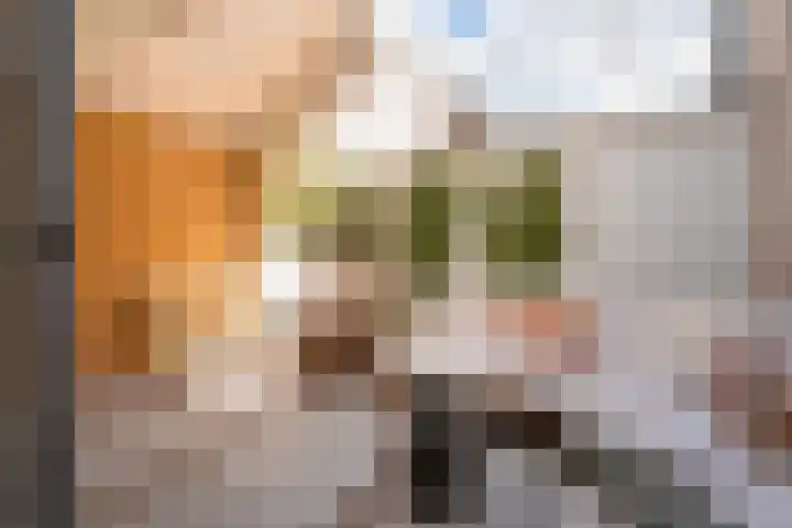 Graaf Hendriklaan 23 Amersfoort thumbnail 43