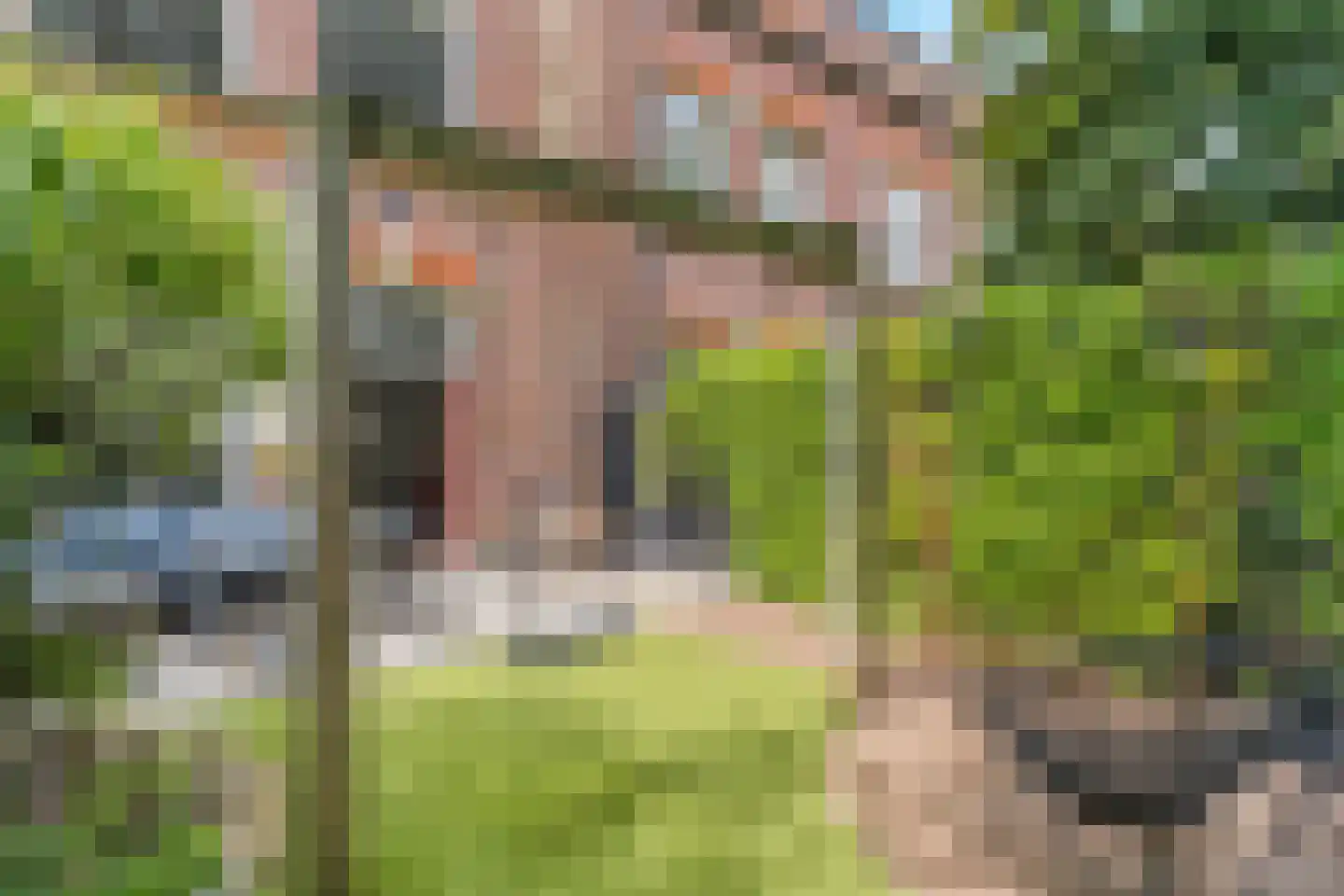Graaf Hendriklaan 27 Amersfoort thumbnail 31
