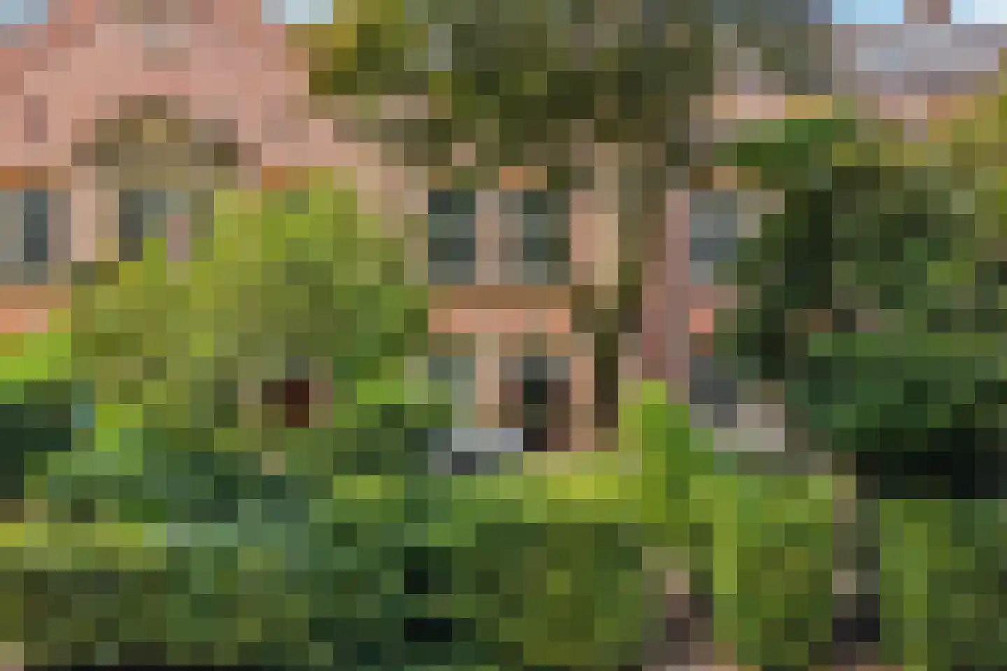 Graaf Hendriklaan 27 Amersfoort thumbnail 37