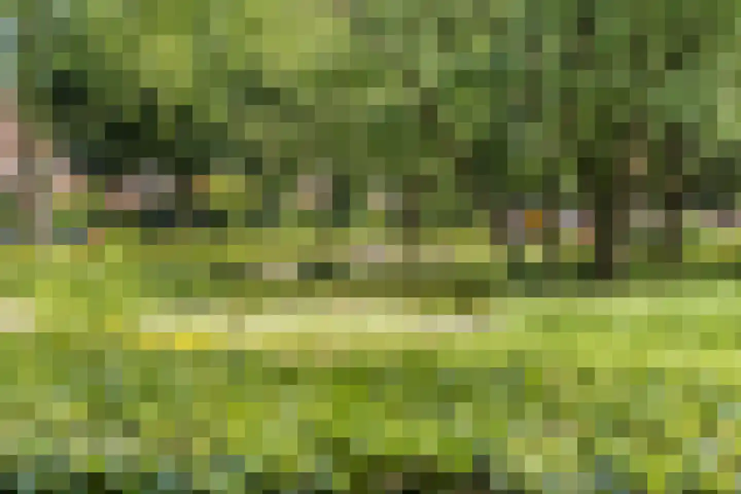 Graaf Hendriklaan 27 Amersfoort thumbnail 41