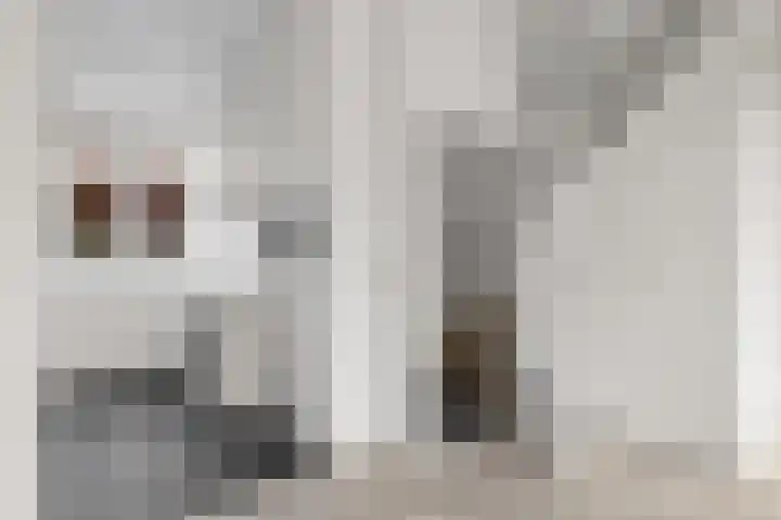 Graaf Hendriklaan 3 Amersfoort thumbnail 21