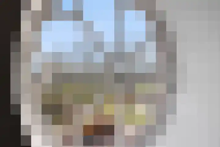 Graaf Hendriklaan 3 Amersfoort thumbnail 37