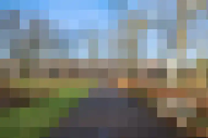 Graaf Hendriklaan 3 Amersfoort thumbnail 7