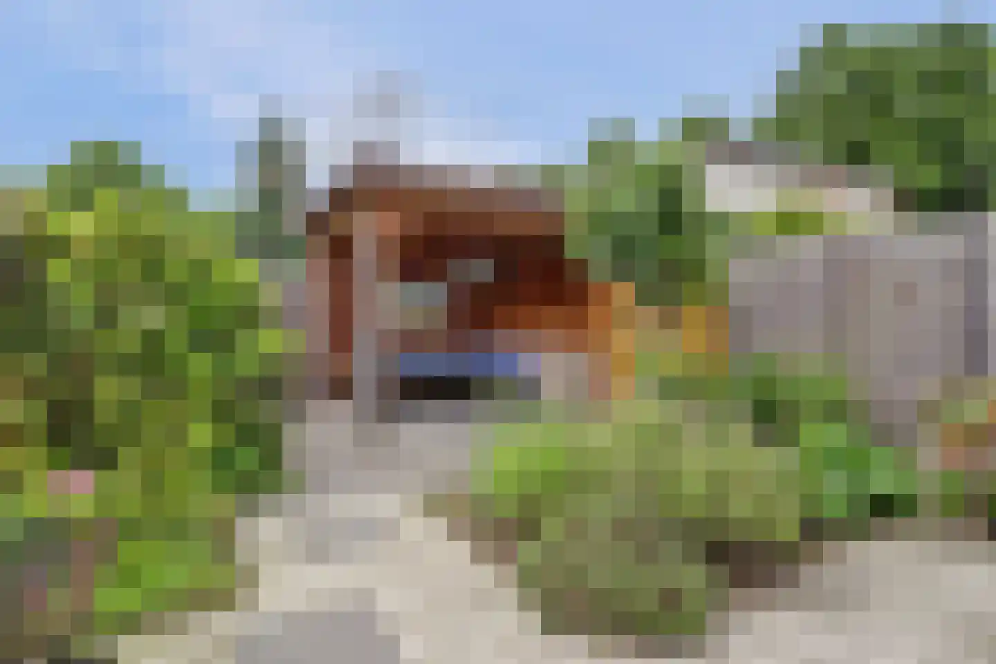 Graaf Hendriklaan 79 Amersfoort thumbnail 4