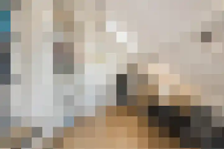 Graaf Hendriklaan 8 Lochem thumbnail 31